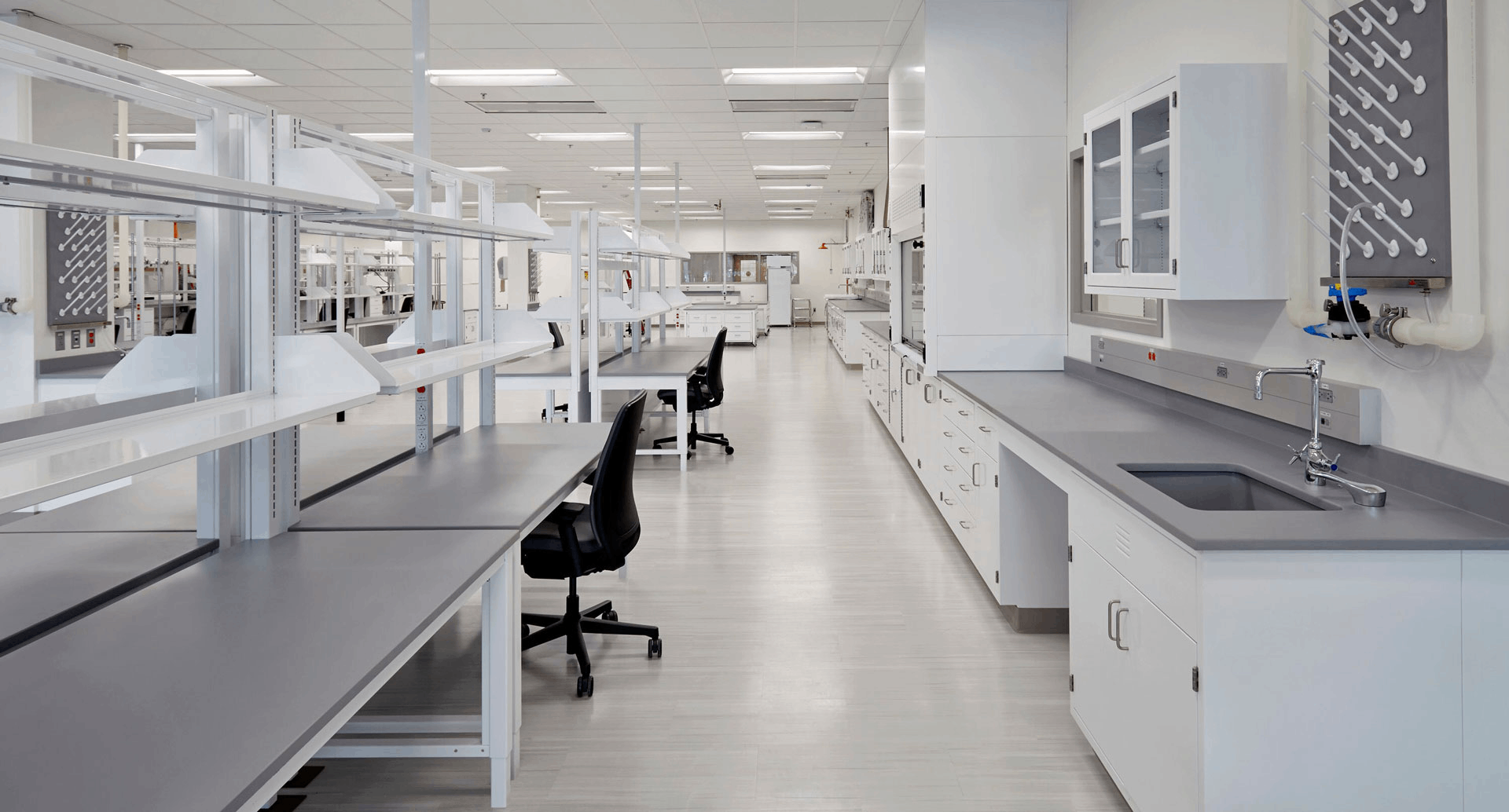 實驗室裝修中動物房的設計與環境控制要點